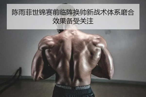chen-yu-fei-shi-jin-sai-qian-lin-zhen-huan-shuai-xin-zhan-shu-ti-xi-mo-he-xiao-guo-bei-shou-guan-zhu-2-896.jpg